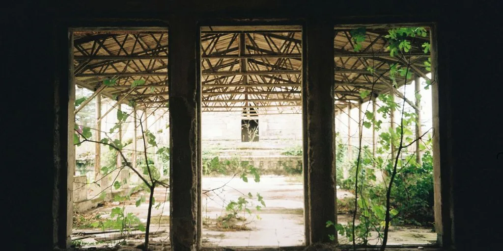 A room with three windows and a view of a forest