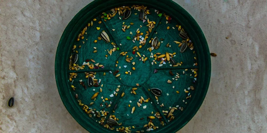 round green case with brown grains