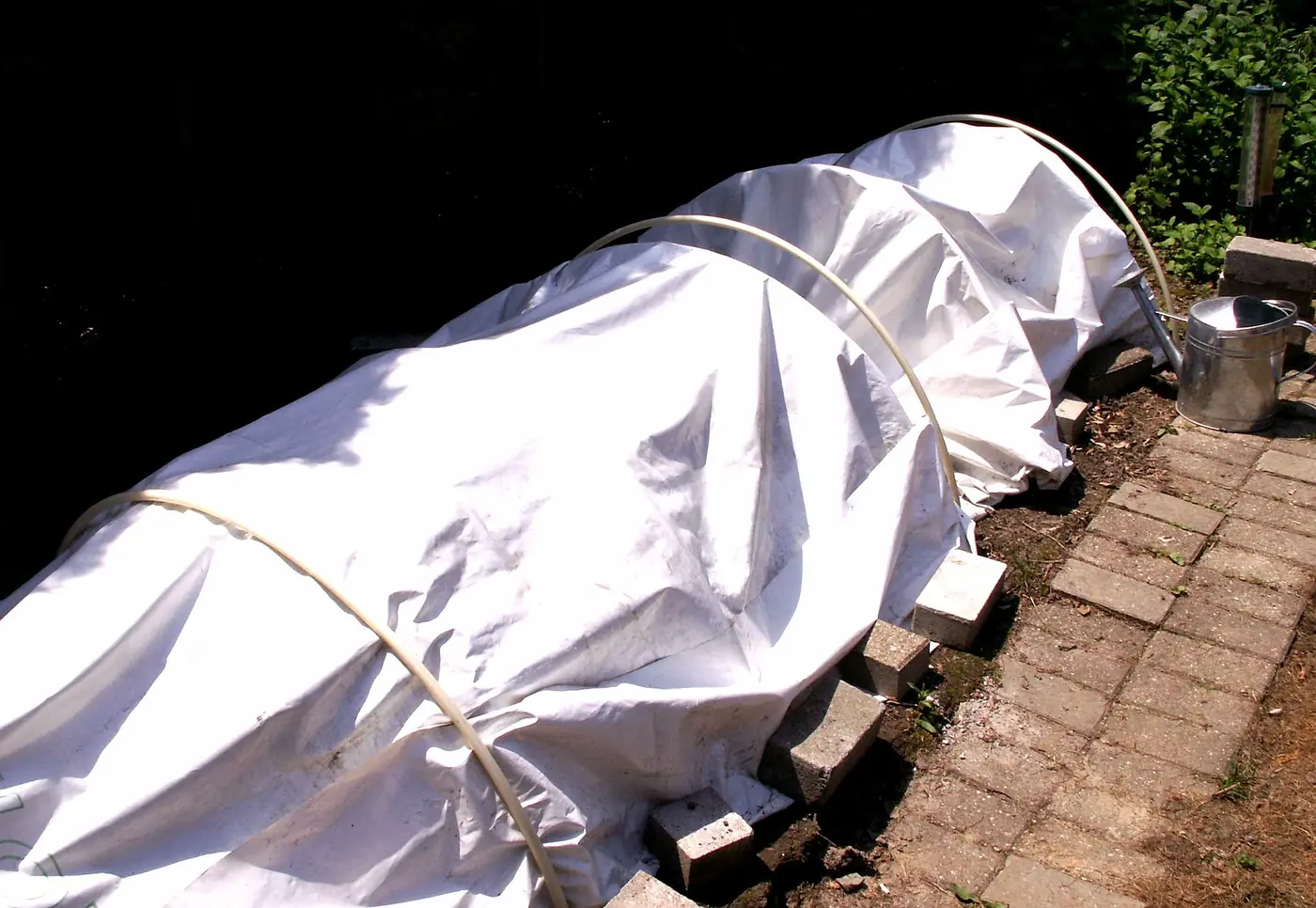 “Mini-invernadero con bandejas de cultivo y plástico transparente”