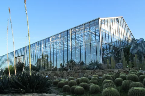 “Sección de cactus en jardín botánico latinoamericano mostrando colección representativa”