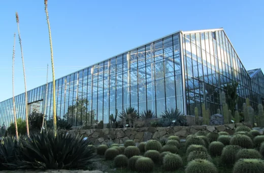 Jardines botánicos imperdibles para amantes de cactus en Latinoamérica
