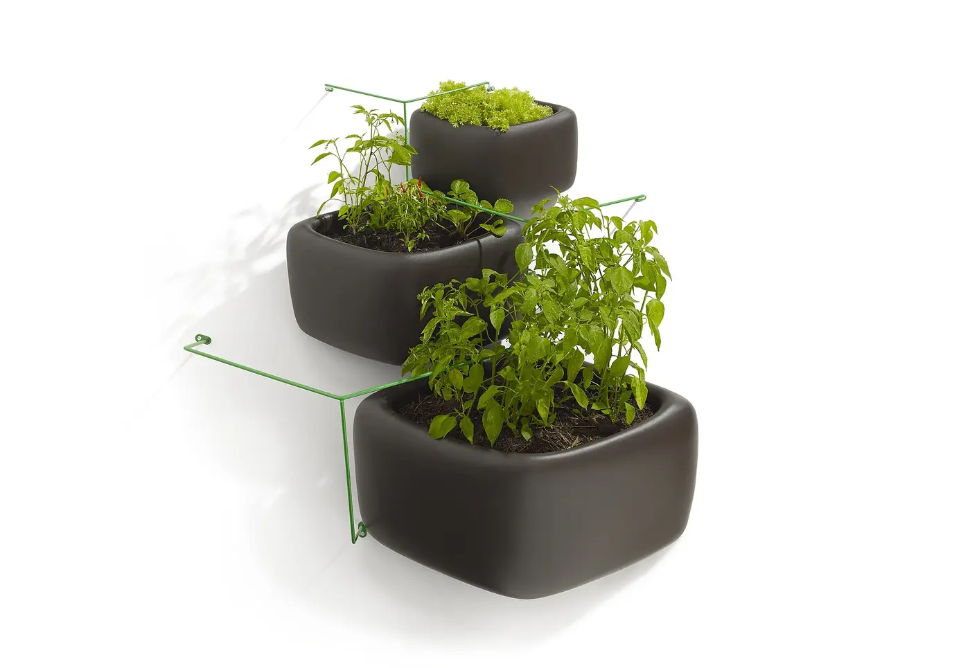 “Sistema de riego por goteo instalado en pared verde con goteros individuales”