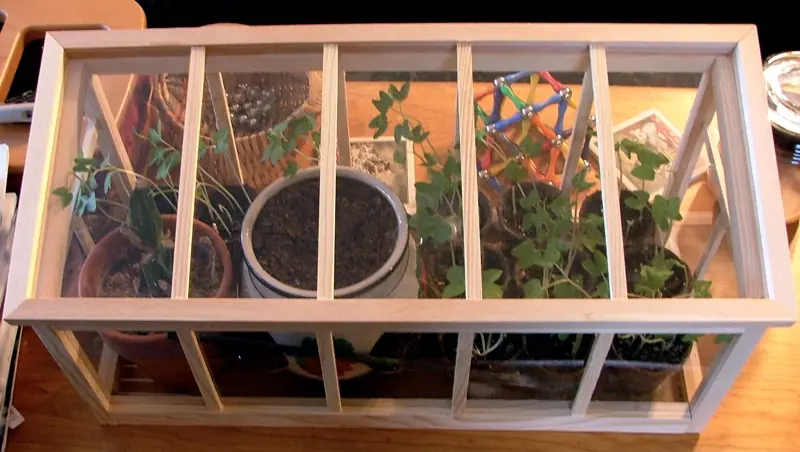 “Mini-greenhouse de mesa con iluminación LED para cultivo de especies exigentes en interior”