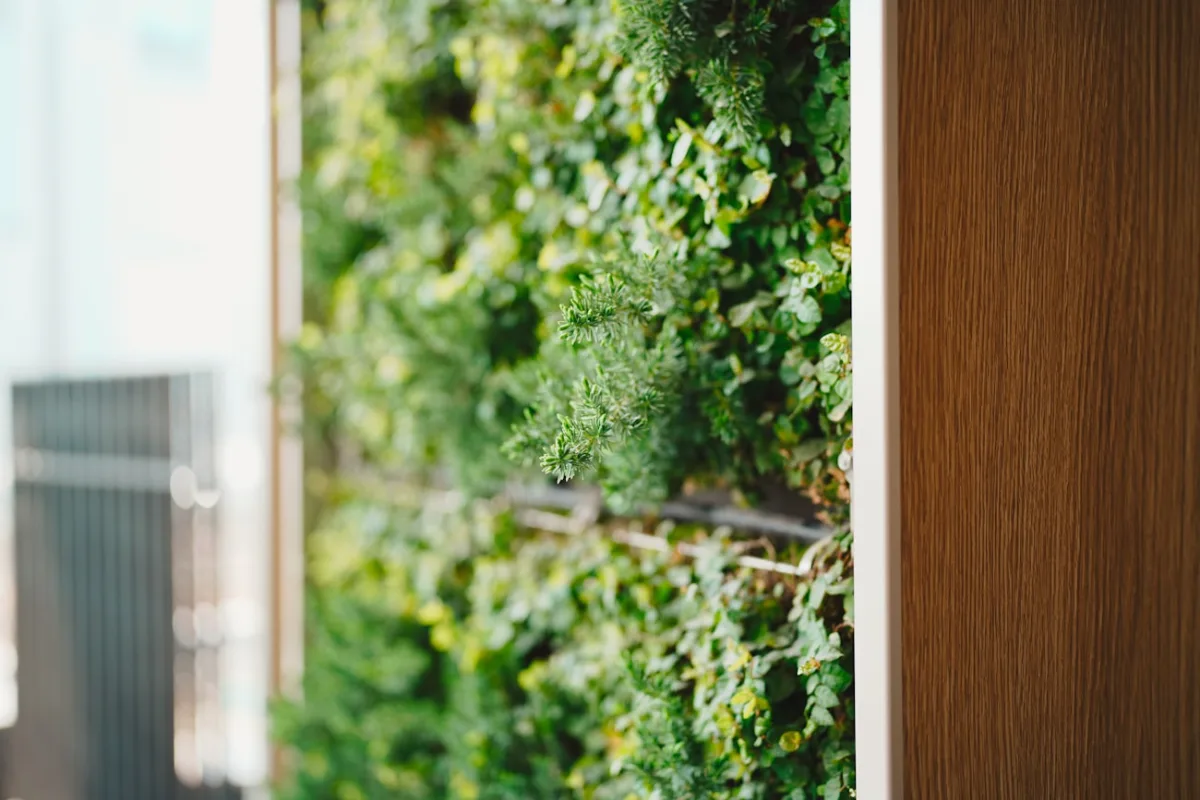 Pared verde modular con estructura de madera para plantas xerófitas